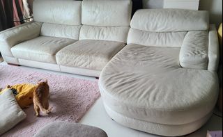 （分類：）位於 。 由 jmeoww 提交（商品編號 1230751885，圖片 1）。簡介： 。