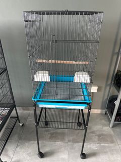(Category: ) located in . Submitted by birdkeeper7891 (Listing ID 1230738010, Image 1). Description: .