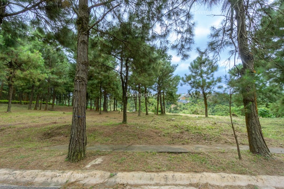 Crosswinds Resort Suites Residential Lot For Sale 4715, Property