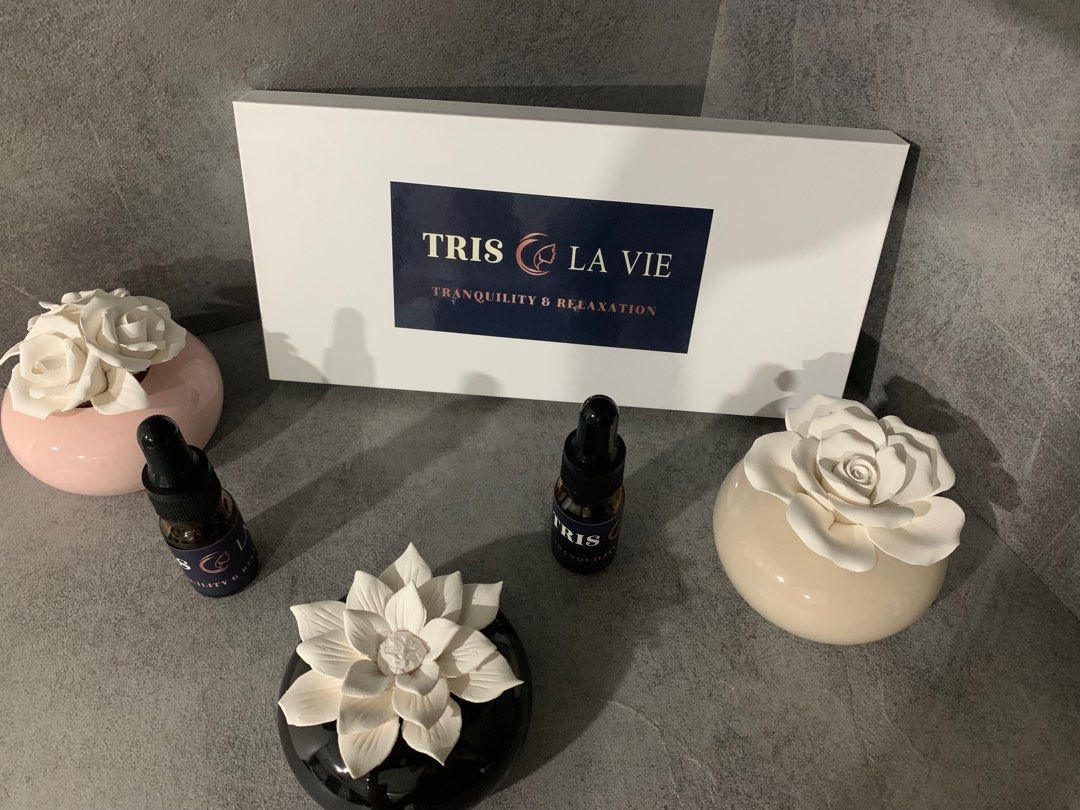 Elegant diffuser, Furniture  Home Living, Home Fragrance on Carousell