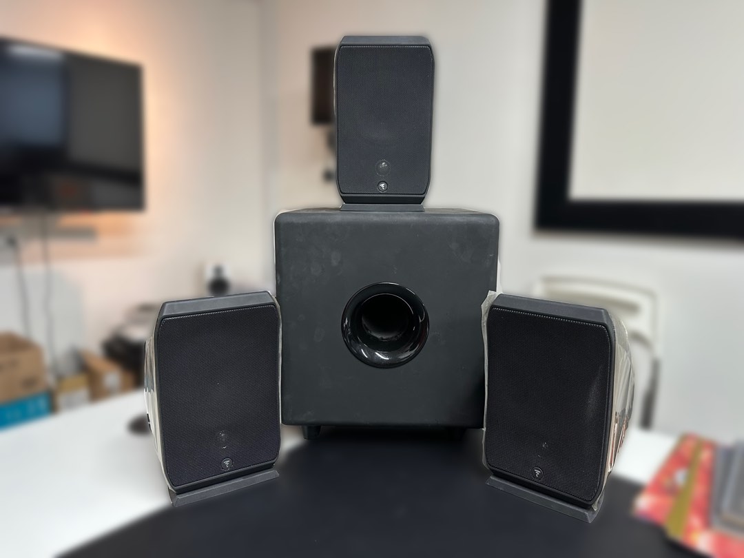 Focal sib and cub hot sale 3