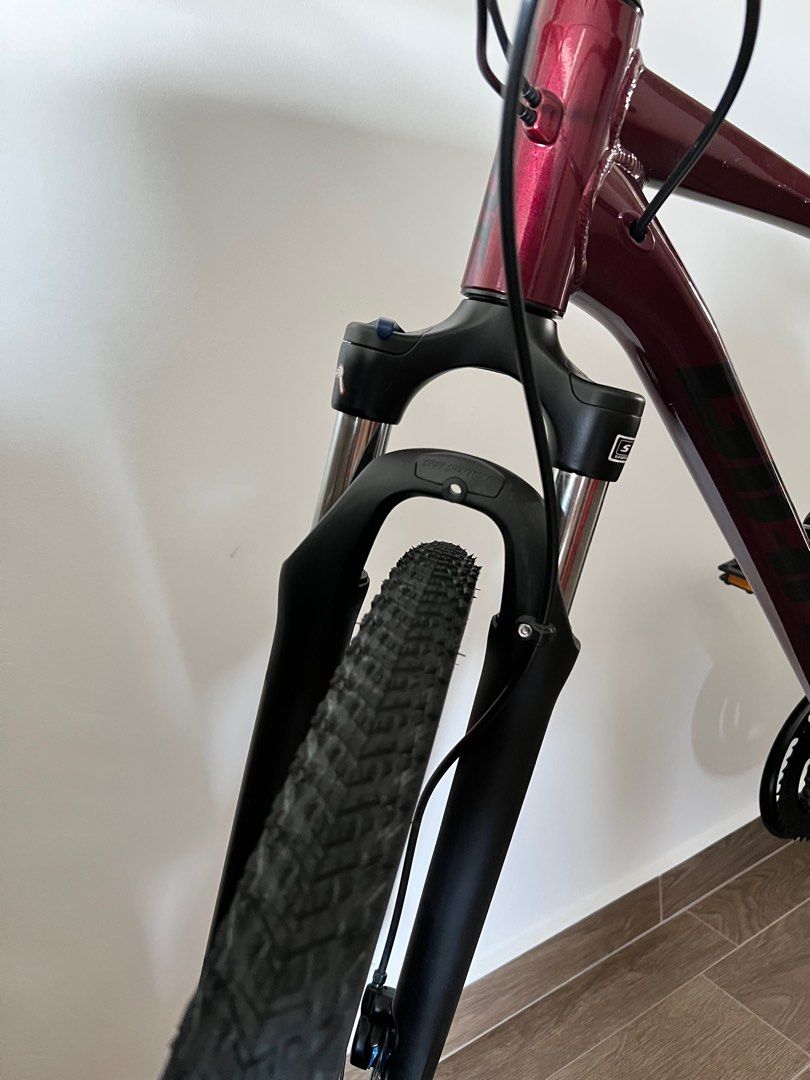 Roam disc 2021 on sale