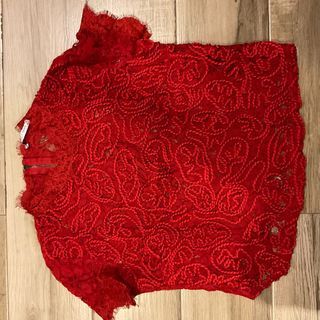 Never Worn Just Washed Zara Lace Cropped Blouse