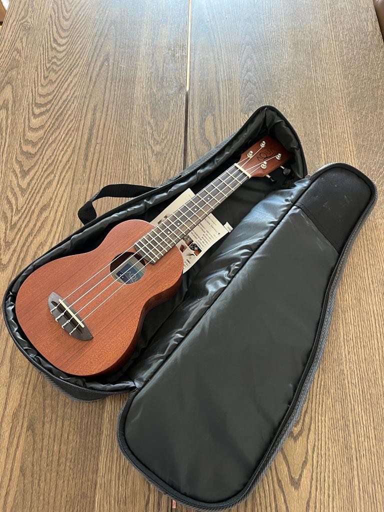 Ukulele with case, Hobbies & Toys, Music & Media, Musical Instruments