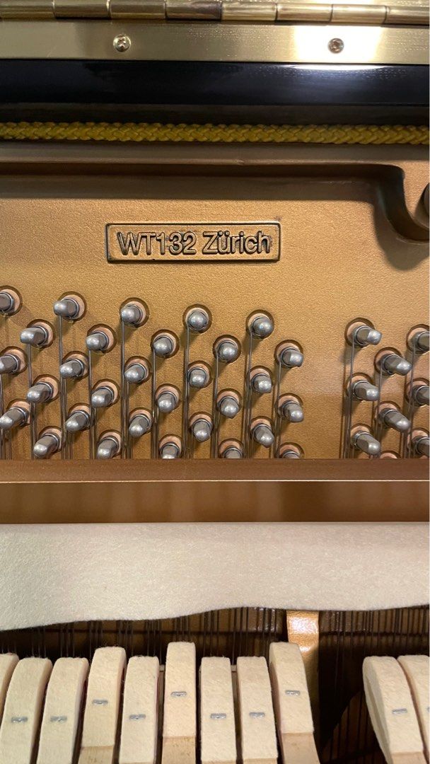 Wilhelm Tell Upright Piano 132 Zurich, Hobbies & Toys, Music & Media