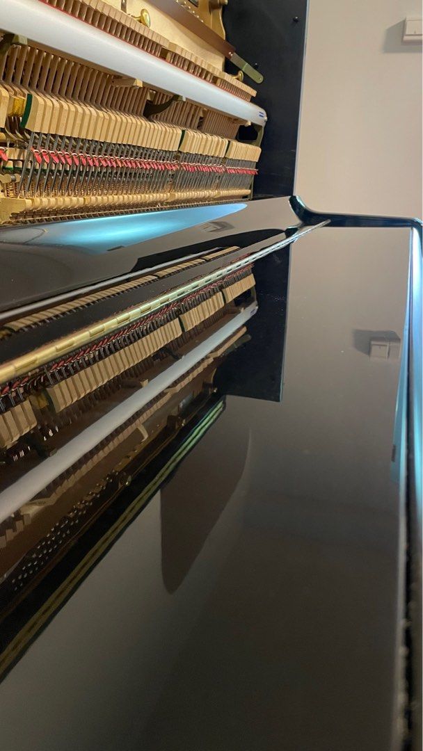 Wilhelm Tell Upright Piano 132 Zurich, Hobbies & Toys, Music & Media