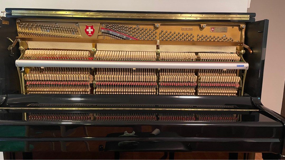 Wilhelm Tell Upright Piano 132 Zurich, Hobbies & Toys, Music & Media