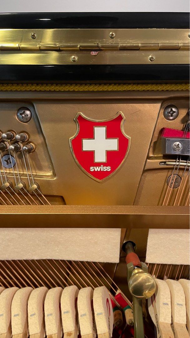 Wilhelm Tell Upright Piano 132 Zurich, Hobbies & Toys, Music & Media