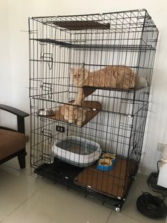 (Category: ) located in . Submitted by CharmingSelections (Listing ID 1230980145, Image 1). Description: .