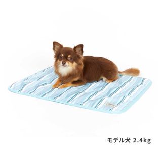 （分類：）位於 。 由 lpy919 提交（商品編號 1230944535，圖片 1）。簡介： 。