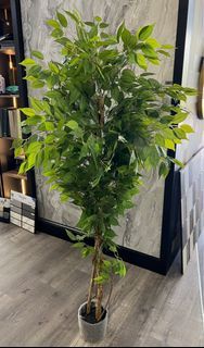 Artificial plants