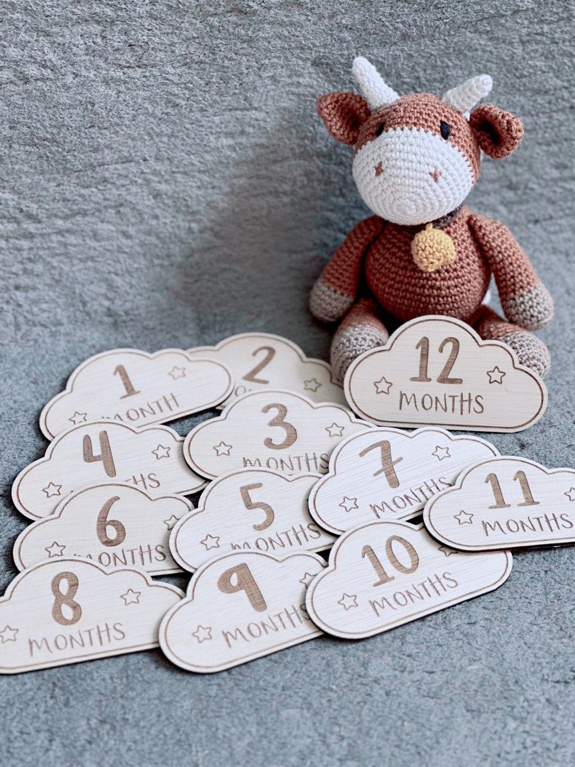 Baby Cloud Milestone Card Cloud Milestone Monthly Milestone