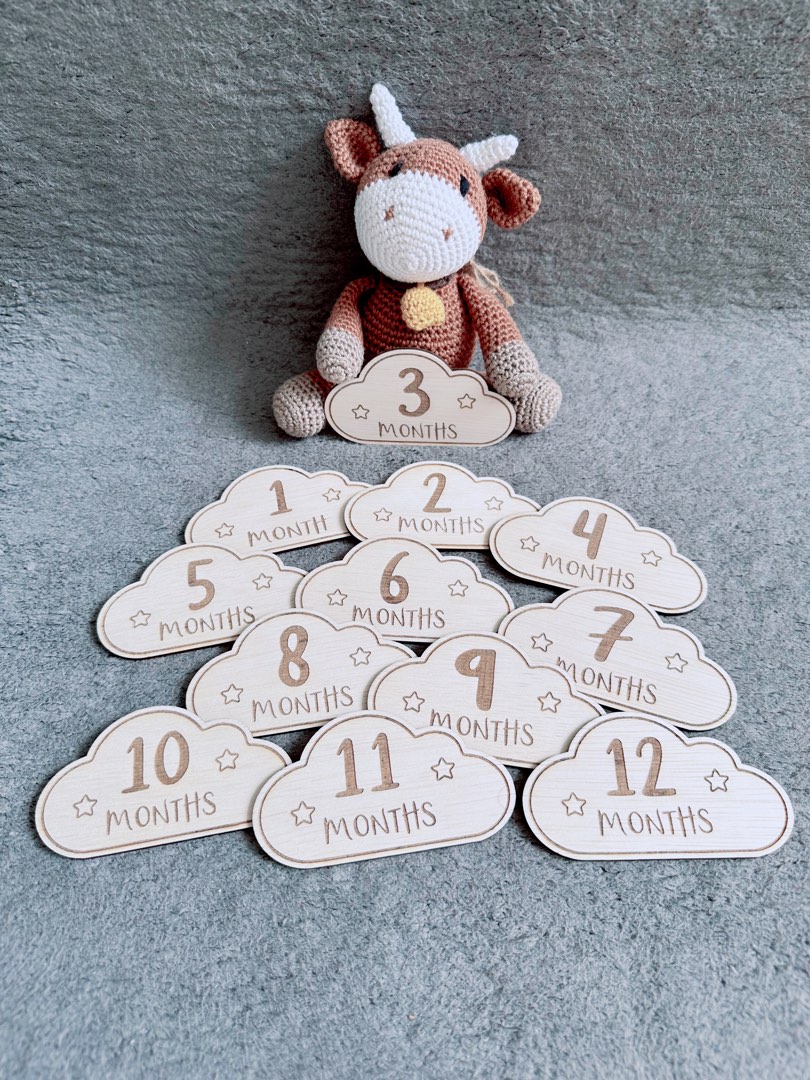 Baby Cloud Milestone Card Cloud Milestone Monthly Milestone