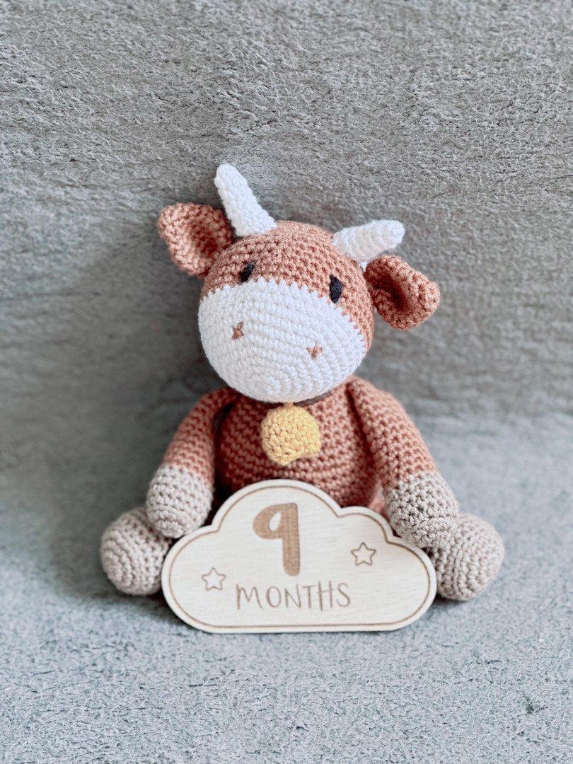 Baby Cloud Milestone Card Cloud Milestone Monthly Milestone