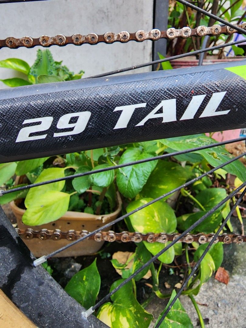 best budget 29er