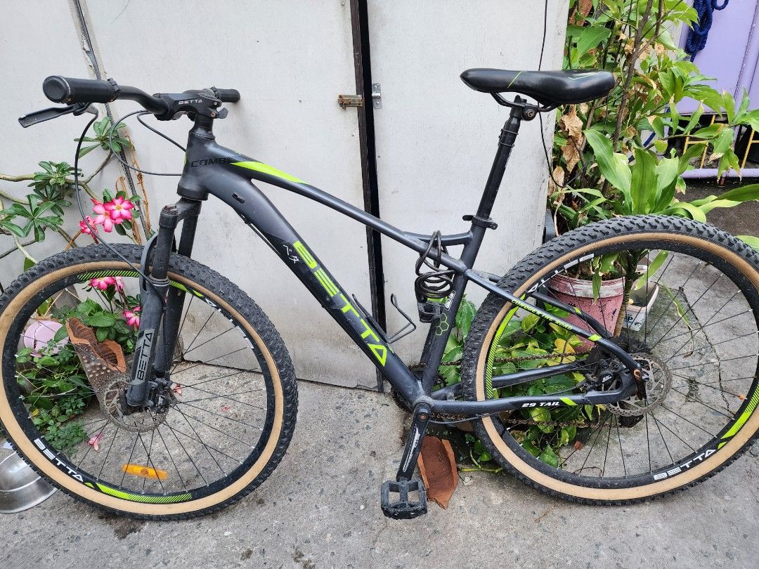 29er budget bike