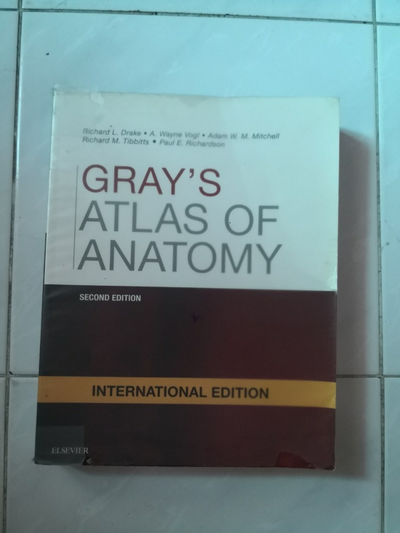 Book Grays Atlas Of Anatomy 2nd Ed Elsevier Hobbies And Toys Books And Magazines Textbooks 