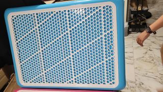 Brand New Pee Pan Pee Tray