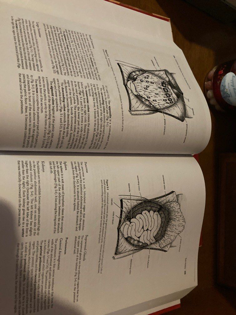 CLINICAL ANATOMY REVIEW BY RICHARD SNELL PDF visual data 5