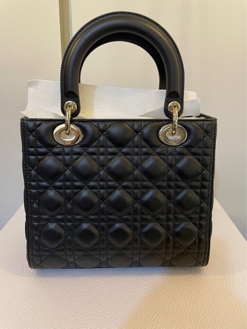 DIOR TAS on Carousell