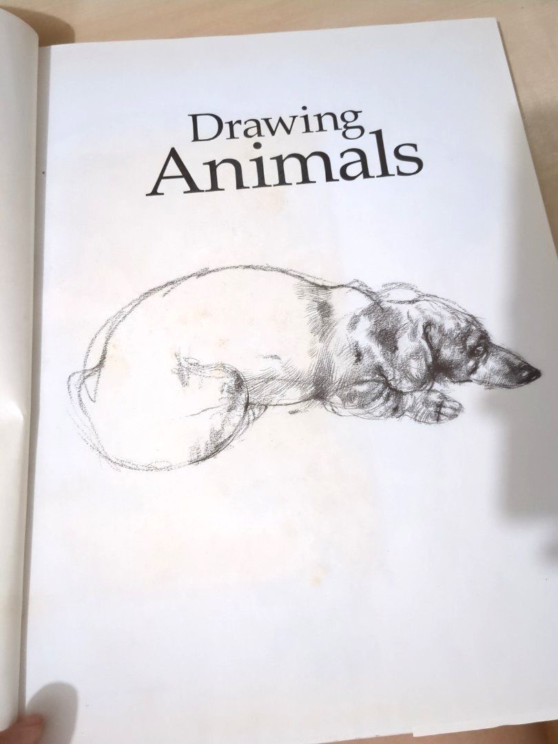 Drawing Animals by Victor Ambrus, Hobbies & Toys, Books & Magazines