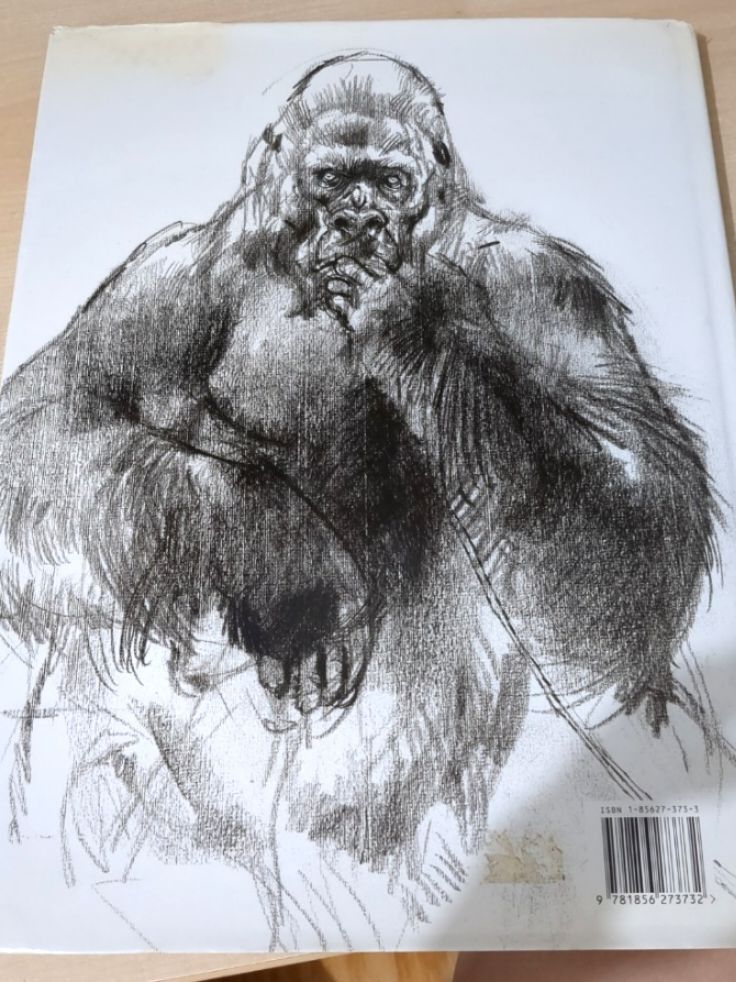 Drawing Animals by Victor Ambrus, Hobbies & Toys, Books & Magazines