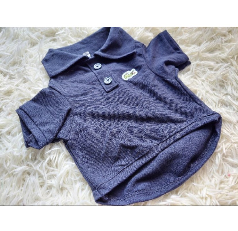 Lacoste Dog Polo, Pet Supplies, Homes & Other Pet Accessories on Carousell
