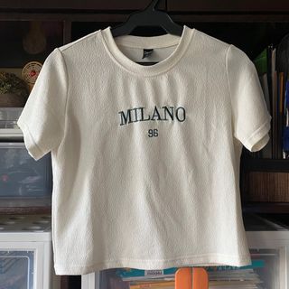 Milano '96 Embroidered Cropped Top