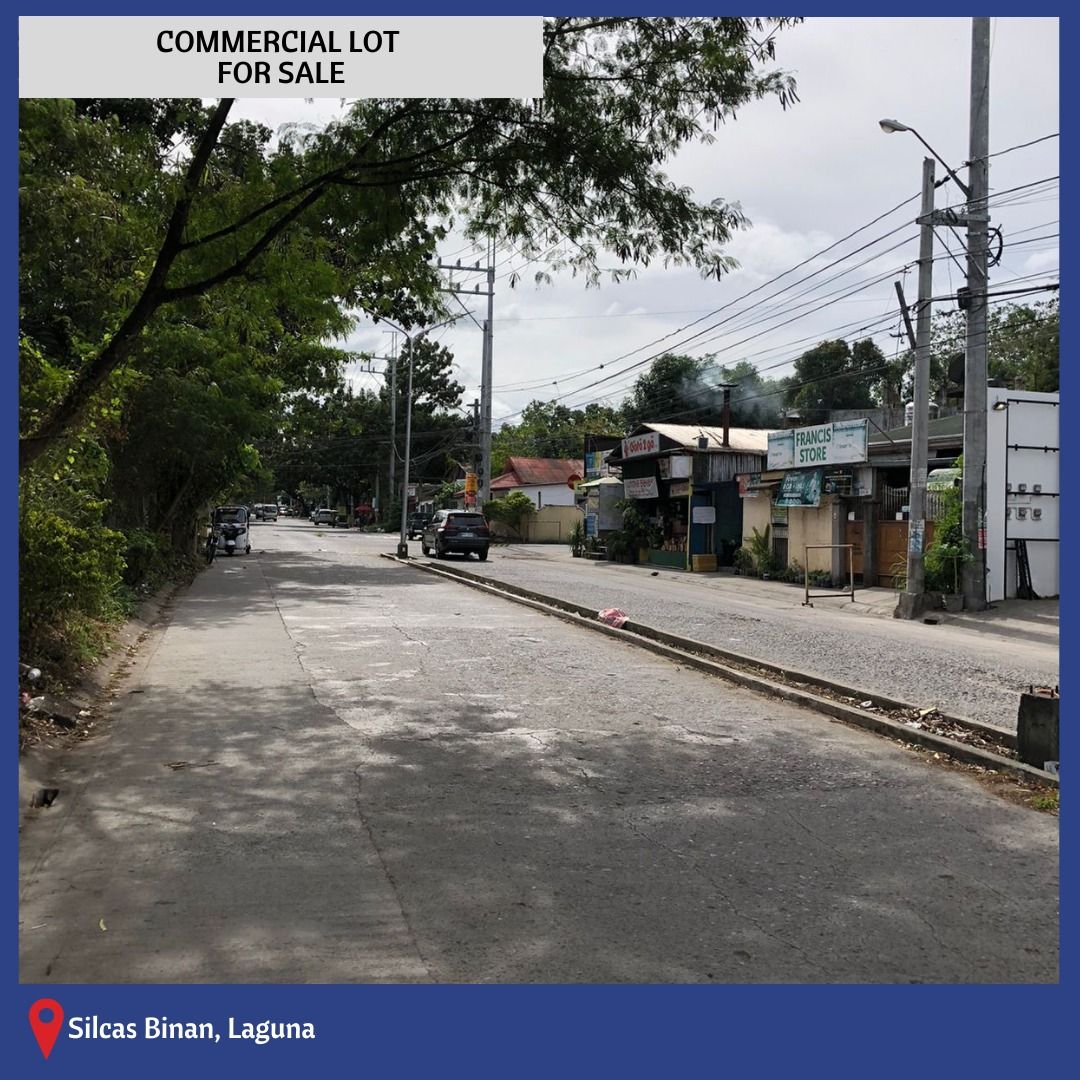 PDM049 Silcas Binan Laguna Commercial Lot For Sale, Property, For