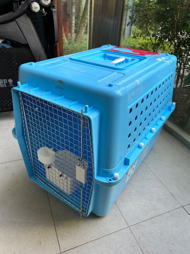 Pp50 dog crate discount