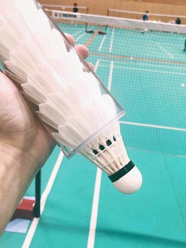 Shuttlecock holder sale