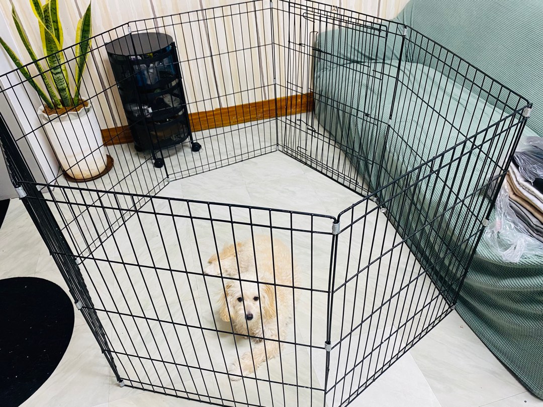 Puppy Play Pen pet crib Open cage open top, Pet Supplies, Homes & Other