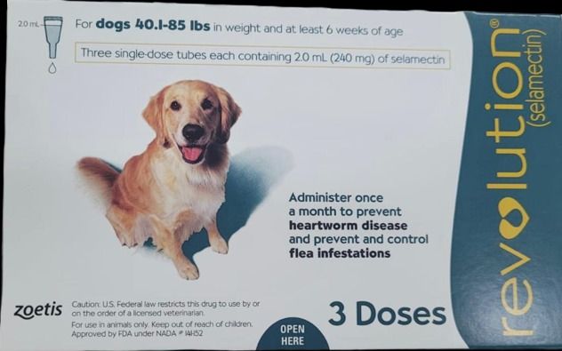 85 sale lb dog