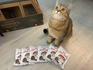 （分類：）位於 。 由 lhtdaphnehou 提交（商品編號 1230973980，圖片 1）。簡介： 。