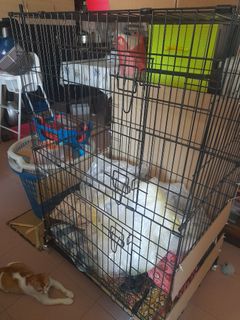 (Category: ) located in . Submitted by hattamoiz (Listing ID 1230951672, Image 1). Description: .