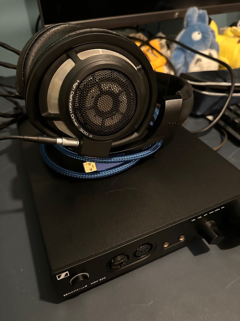 Sennheiser HD800S + HDV820 Headphone AMP, 音響器材, 頭戴式/罩耳式耳機 Carousell