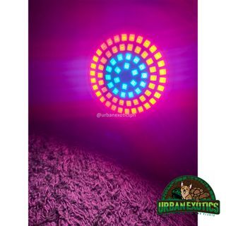 80 LED Full Spectrum Grow Lights