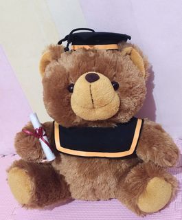 Boneka wisuda Teddy Bear Beruang istana boneka Size Sedang #CITT304 #lovecitta