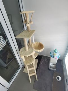 (Category: ) located in . Submitted by dsds8 (Listing ID 1235075688, Image 1). Description: .