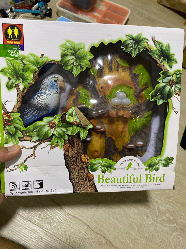 Beautiful 2025 bird toy