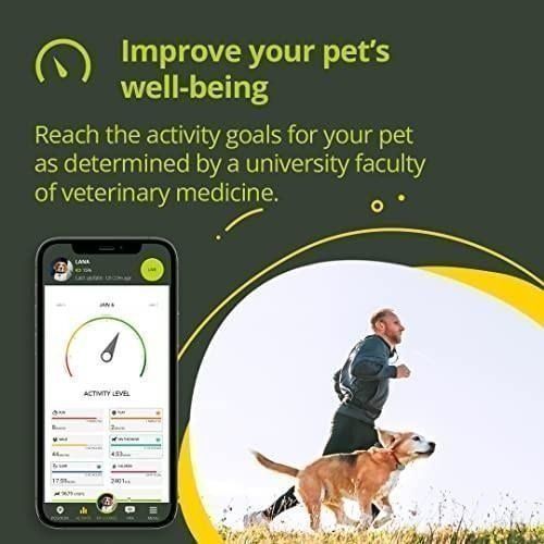 EVO Authentic GPS Tracker KIPPY and Activity Monitor for Dogs