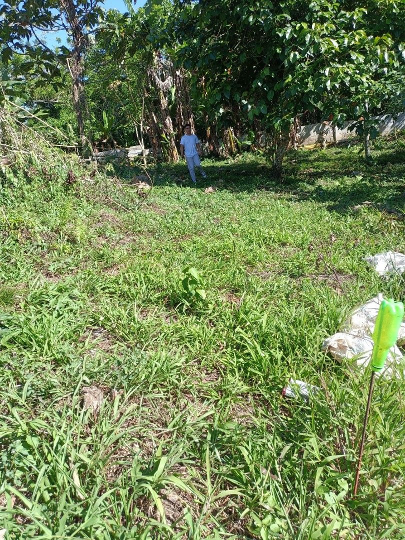 FARM LOT FOR SALE IN AMADEO CAVITE on Carousell