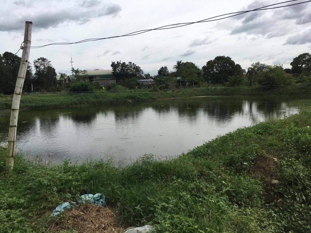 fishpond in bulacan for sale - View all fishpond in bulacan for