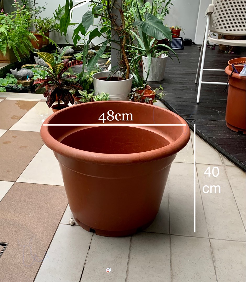 Large plastic pots available for sale, Furniture & Home Living, Gardening, Pots & Planters on