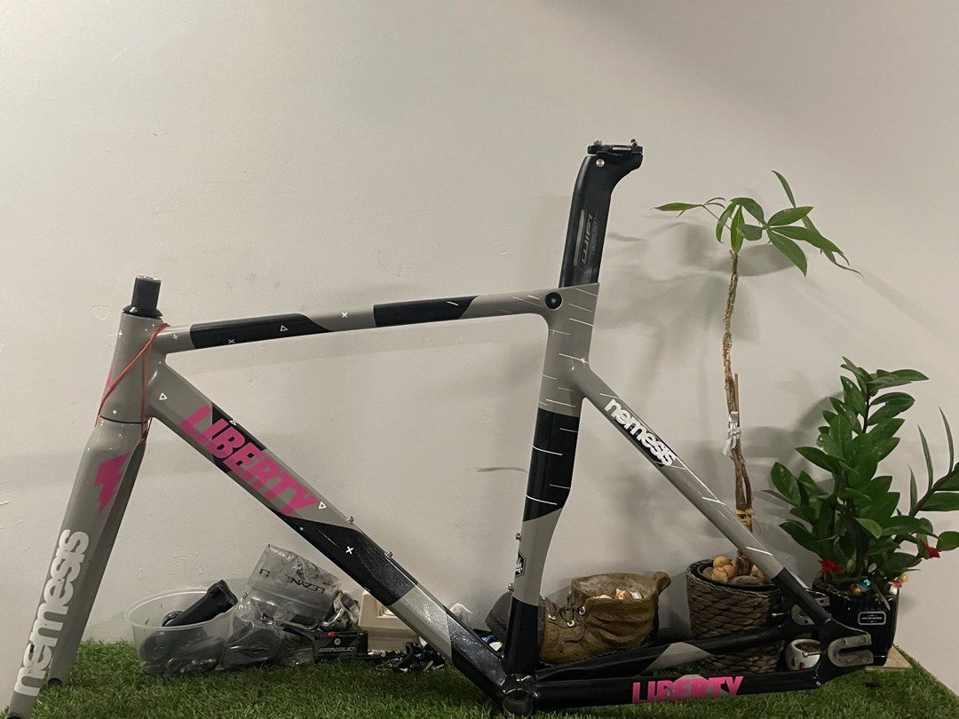 Prorace nemesis hot sale carbon frameset