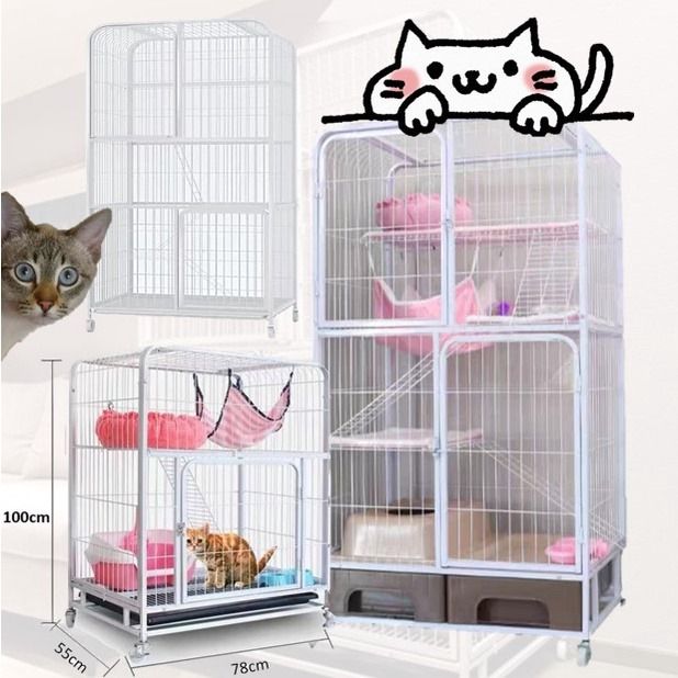 Kitten enclosure clearance