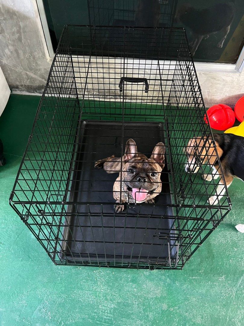 Pet cage tray base, Pet Supplies, Homes & Other Pet Accessories on