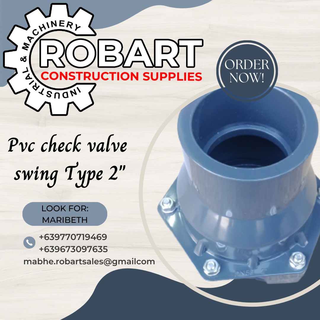 pvc check valve swing type 2