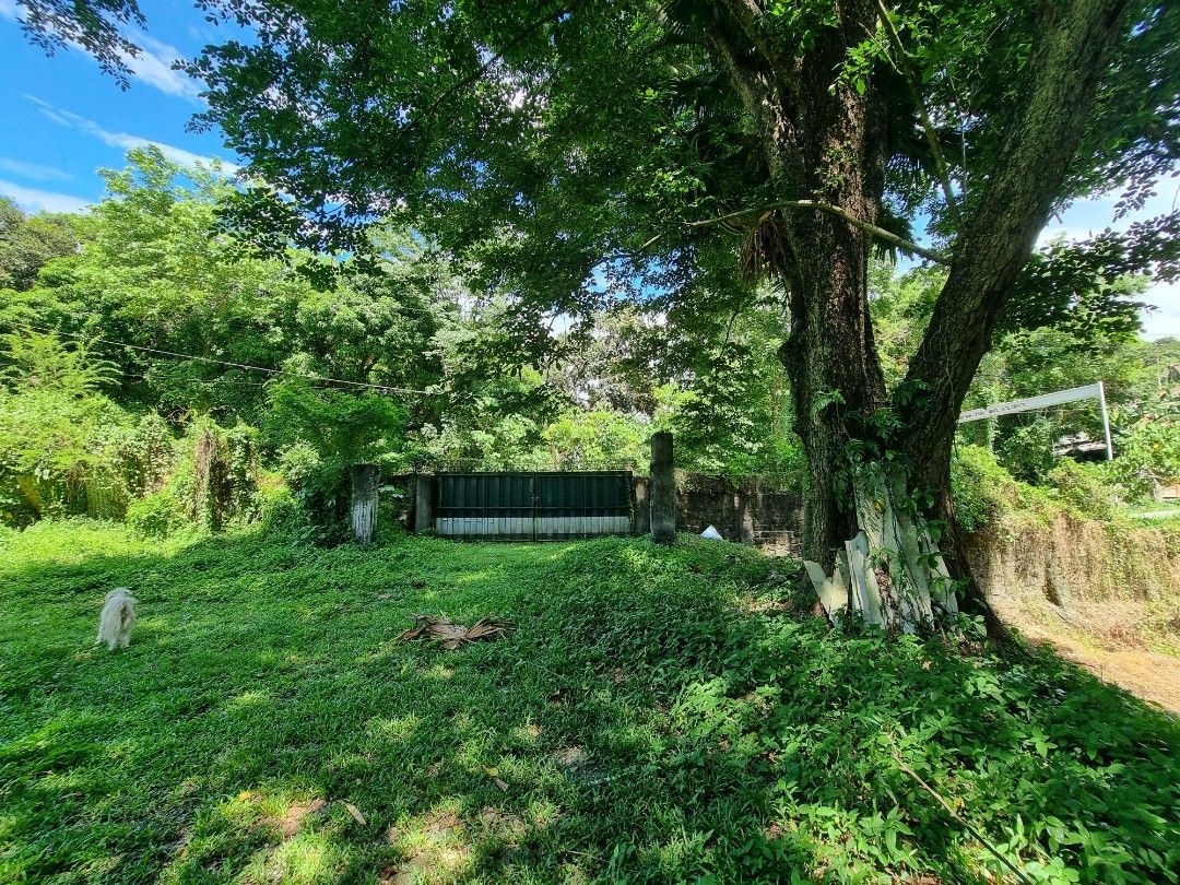 San Jose del Monte Bulacan (Category: Lot) located in Manila. Submitted by goldentree_d5928f (Listing ID 1235103894, Image 3). Description: San Jose del Monte, Bulacan has emerged as the new city and community near the metro, just few minutes away from Fairview, Q.C. It is now a booming town where you'll find SM sjdm, Ayala Land's Altarraza, Manny Villar's Vista Land and All Home etc. Find the potential to invest in an upcoming development. Locat