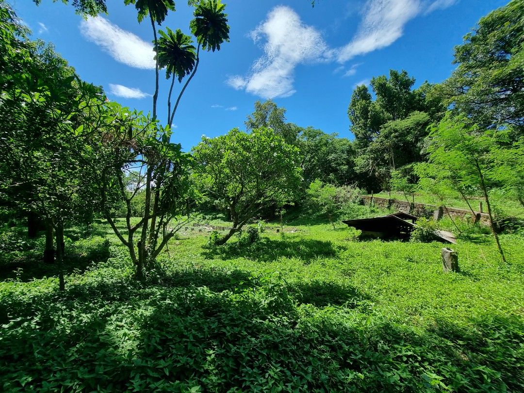 San Jose del Monte Bulacan (Category: Lot) located in Manila. Submitted by goldentree_d5928f (Listing ID 1235103894, Image 1). Description: San Jose del Monte, Bulacan has emerged as the new city and community near the metro, just few minutes away from Fairview, Q.C. It is now a booming town where you'll find SM sjdm, Ayala Land's Altarraza, Manny Villar's Vista Land and All Home etc. Find the potential to invest in an upcoming development. Locat
